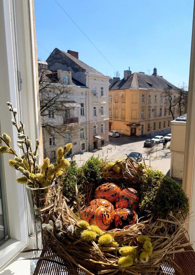 Homey Apartment On Vicheva Str. Lviv Dış mekan fotoğraf